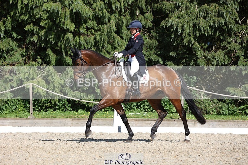 230526-160516-07749 - 168-PARKFIELD_ARTIE_BLOU-Laura_Collett-WEDTrotUp+DR