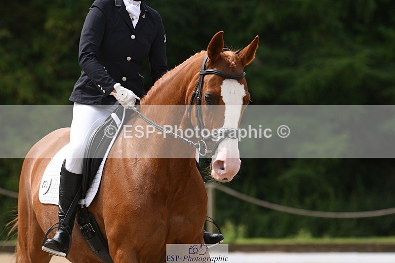 250719A-113434-04427 - 039-Caroline.Toman-D-Pandora.Ramall