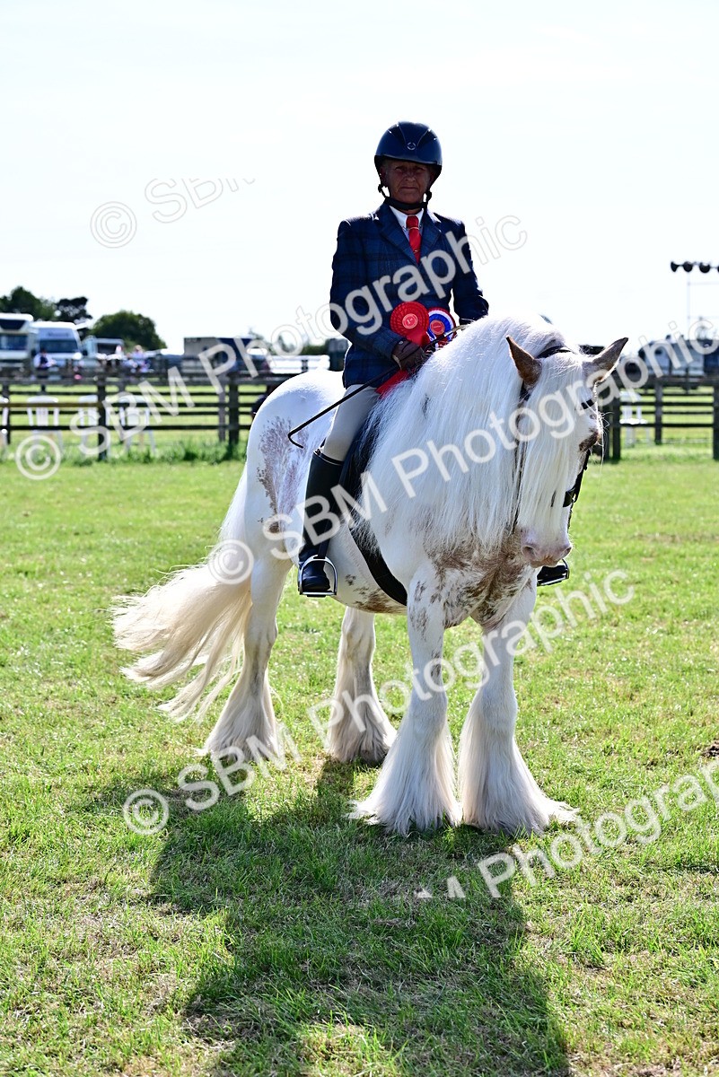 SBM_09500 - Class 63-65 - Traditional Gypsy Cobs In Hand & Ridden