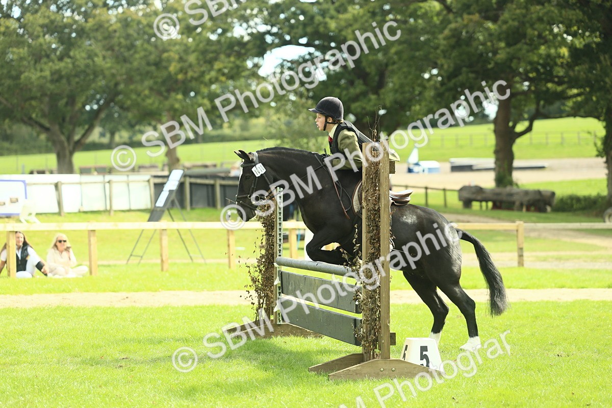 SBM_44741 - S31 - Working Hunter Pony