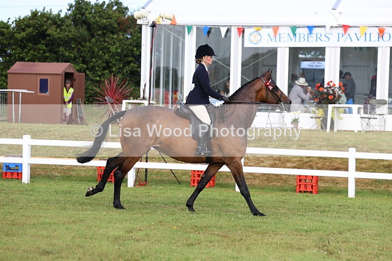 3E7A8174 - Class 2: Rising Star Large Hack/Riding Horse