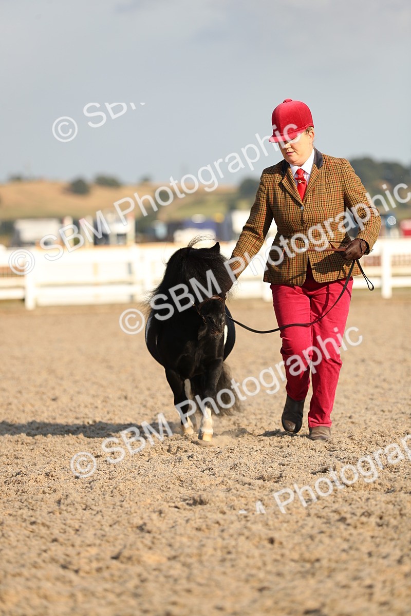 SBM_09002 - Class 29 IH Veteran Pony