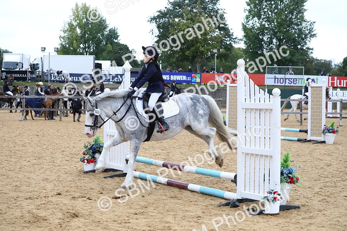 SBM_68350 - J3b - Mini Tour Junior Pony 40cm Championship
