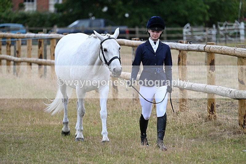 WJ7_9048 - Class 4a Prettiest Mare 14.2hh and over