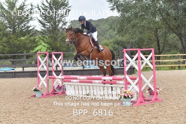 BPP_6816 - CLASS 1 Club/ Unaffiliated 80cms Open