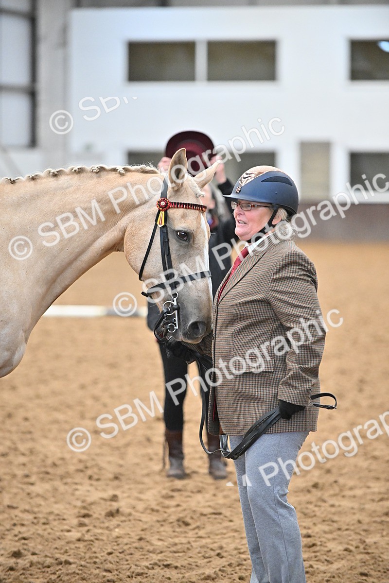 EB7_8409 - Class 3 - In Hand Foreign Breeds & Warmbloods
