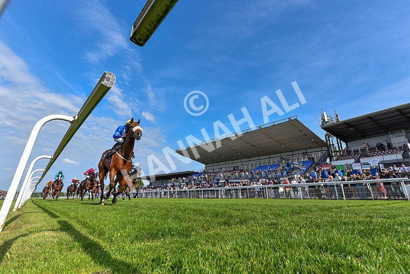 270526-Race 7-King Of The Jungle-9117 - Race 7 17.20pm Racing Again This Saturday Apprentice Handicap