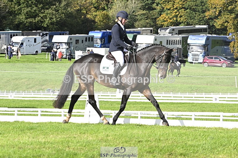 251023A-145606-04445 - E-383-Amy.Harris