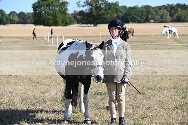 WJ6_7300 - Class 33 Rescue Pony