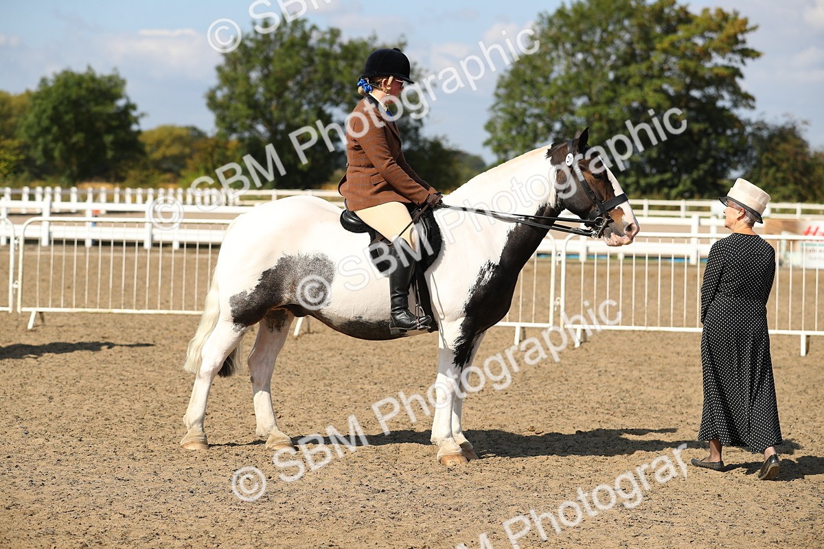 SBM_03195 - Class 44 Riding Club Horse/ Pony