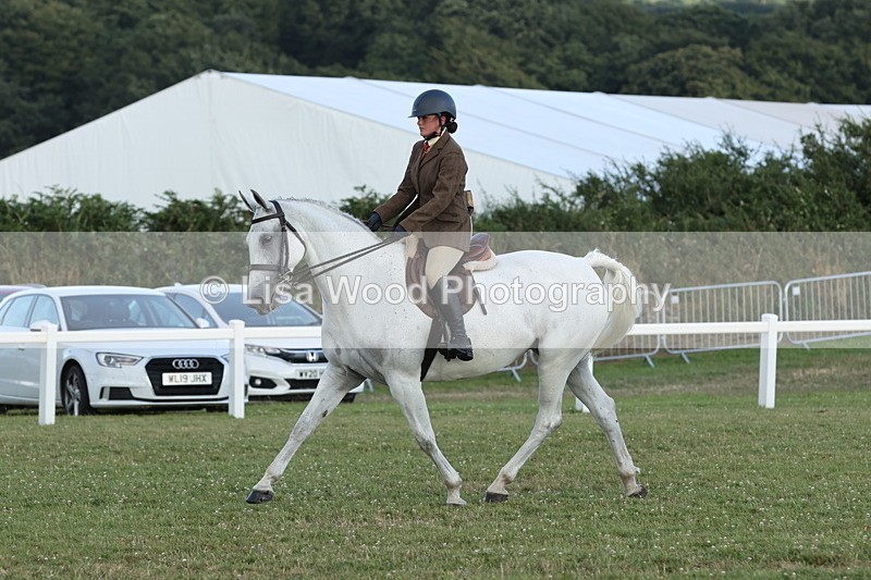 JPP_3695 - Class 24: Open Working Hunter