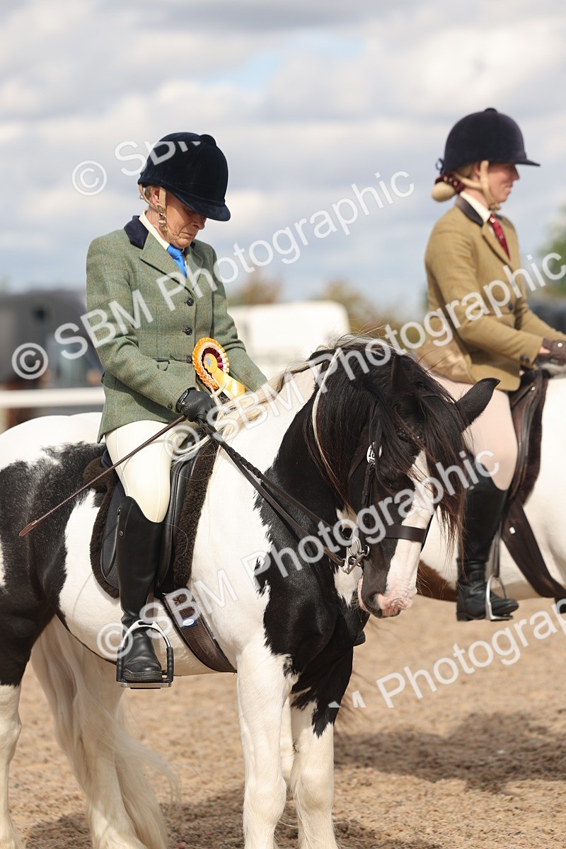 SBM_14695 - Class 307 - Ridden Coloured Pony