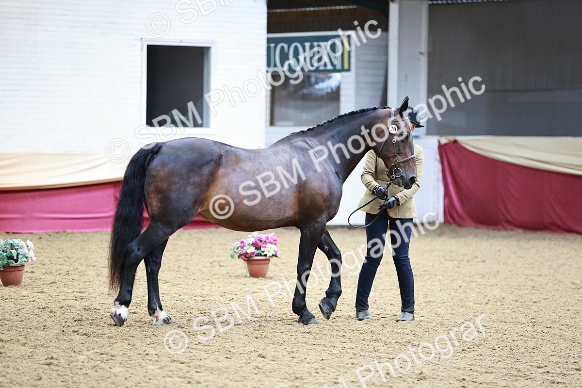 SBM_00916 - Class 2A - Area IH Veteran