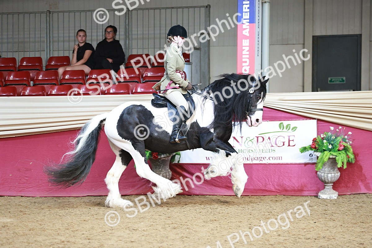SBM_08714 - Regional Ridden Champ