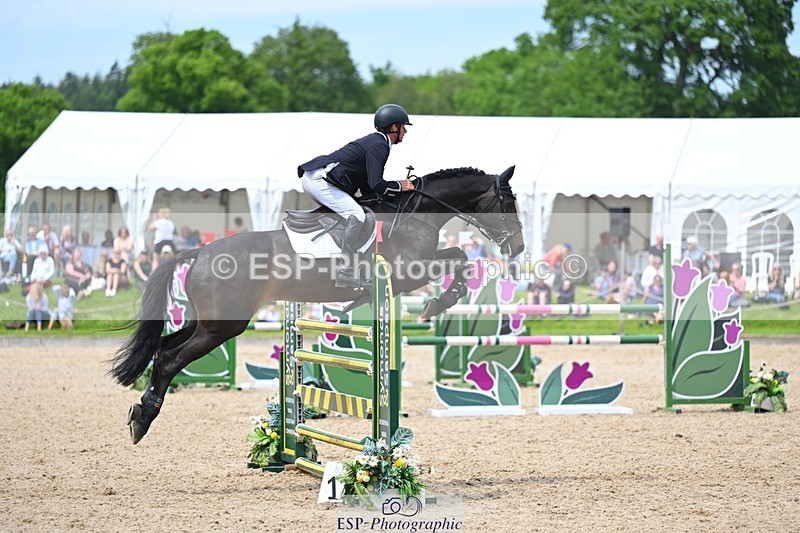 240525-144541-15859 - 507-DASSETT_ROCK_STAR-Tom_D_Crisp