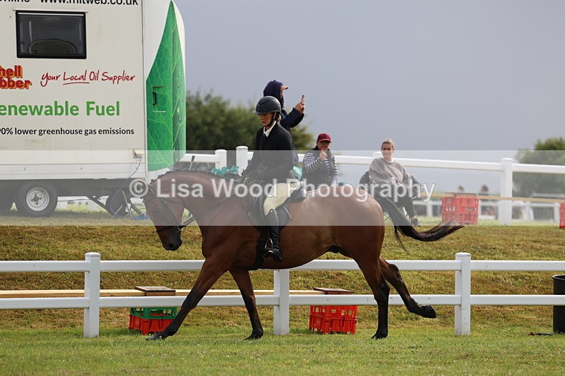 3E7A8091 - Class 2: Rising Star Large Hack/Riding Horse