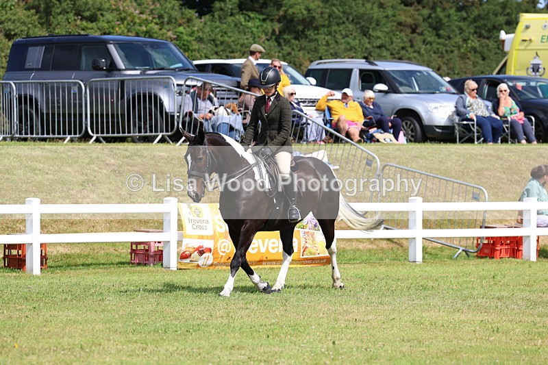 3E7A9833 - Class 5: Rising Star Lightweight/Heavyweight Cobs