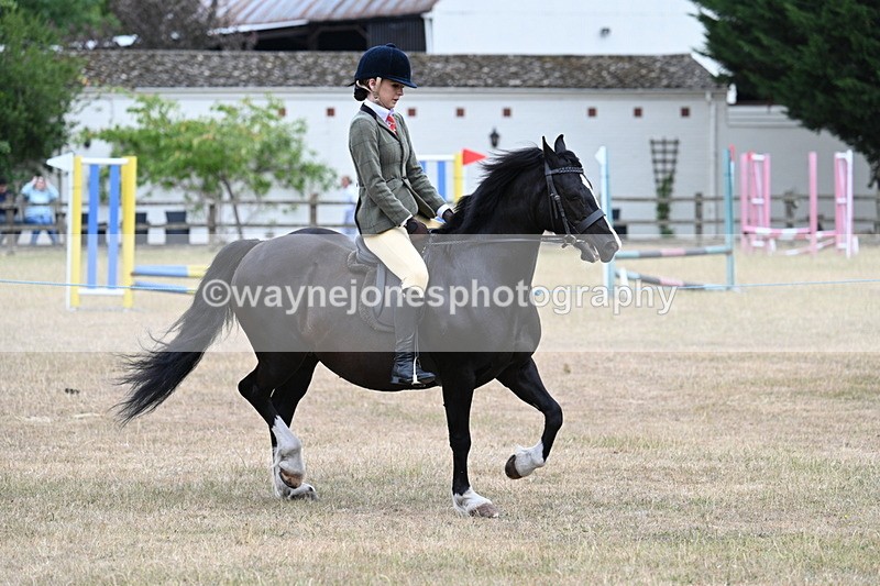 WJ7_0490 - Class 6 Ridden Mountain and Moorland