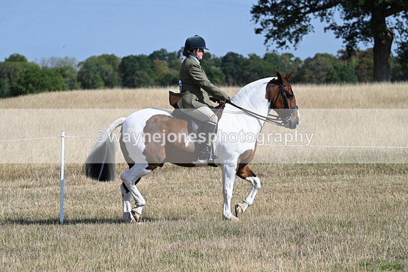 WJ7_2802 - Class 8 Ridden Tack & Turnout