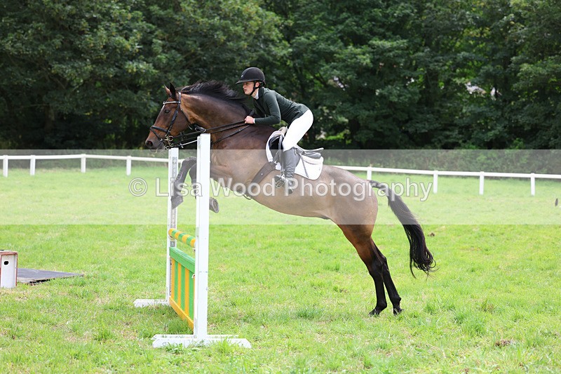 3E7A7299 - Class 5: Senior British Novice/90cm open