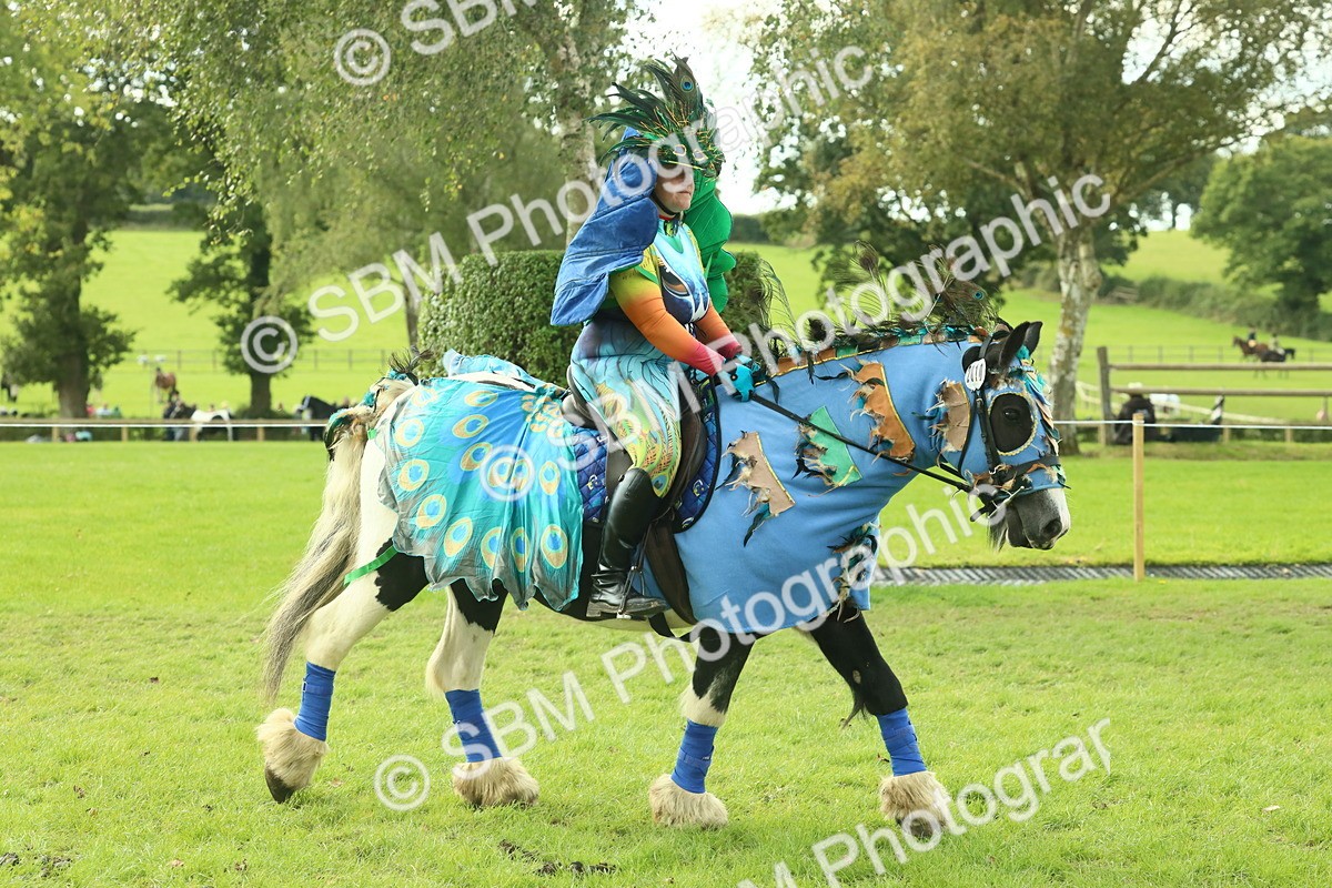 SBM_63486 - S35 - Fancy Dress Showing