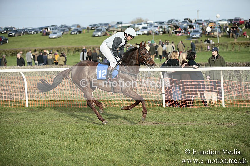 PtP 230319 522 - VWH Hunt Siddington Point-to-Point Racing 23/03/19