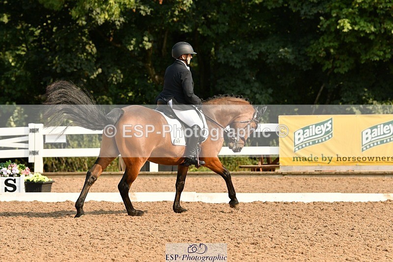 250817-093156-06950 - 049-Carolyn.GaleNewtown.Ringo