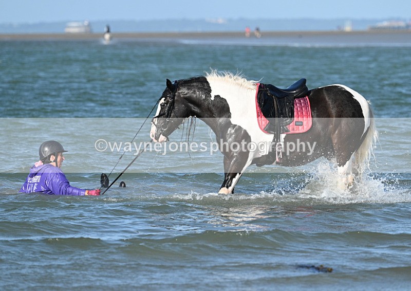 WJ7_3560 - Kellie & Churchill ... do Hayling Island 25-08-24