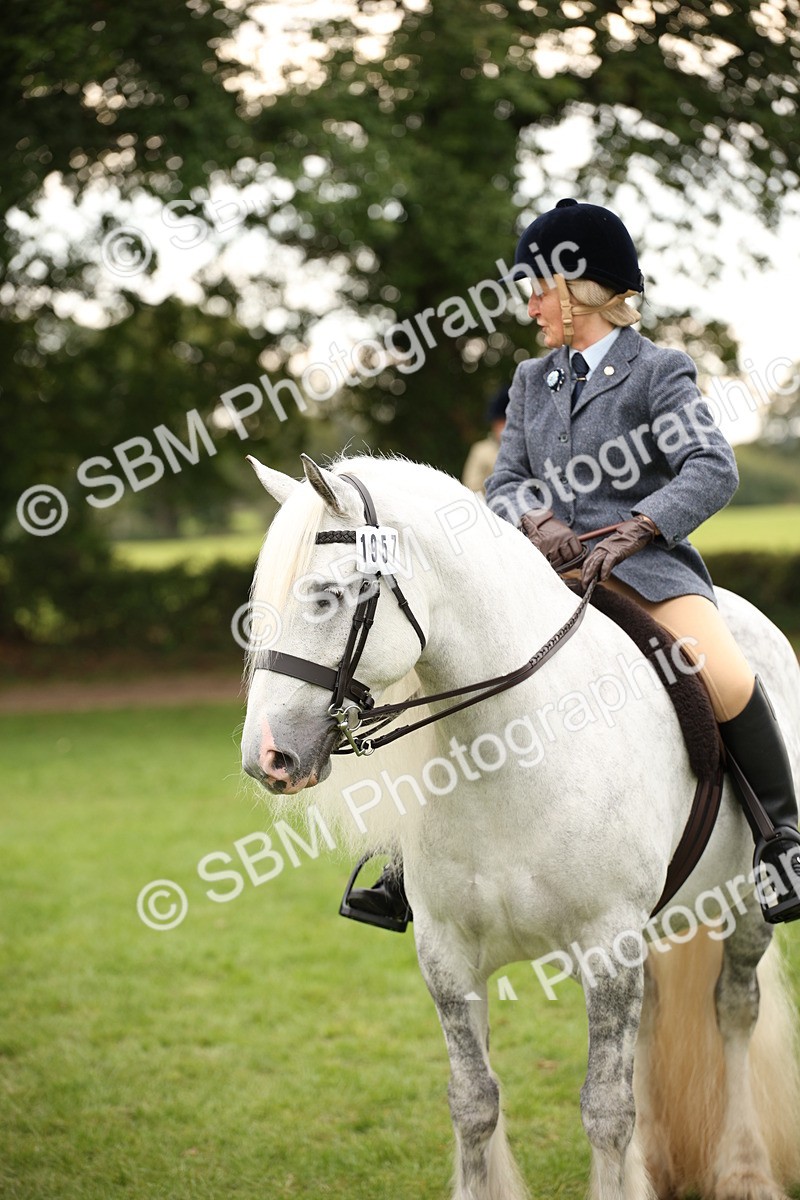 SBM_73573 - S68 - Traditional Cob Ridden