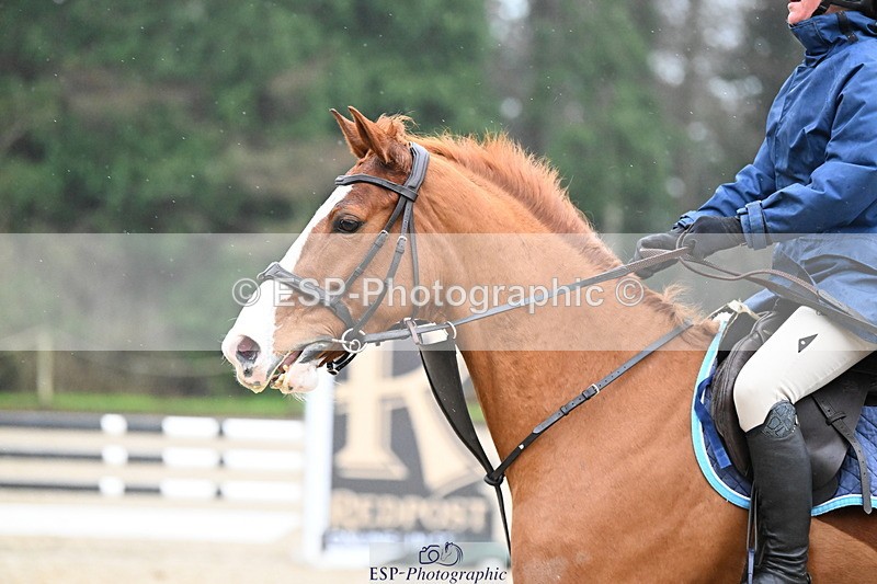 250215A-140449-01407 - Cls 1 British Novice and 90cm Open