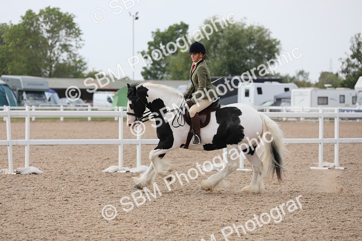 SBM_12805 - Class 307 Ridden Coloured Pony