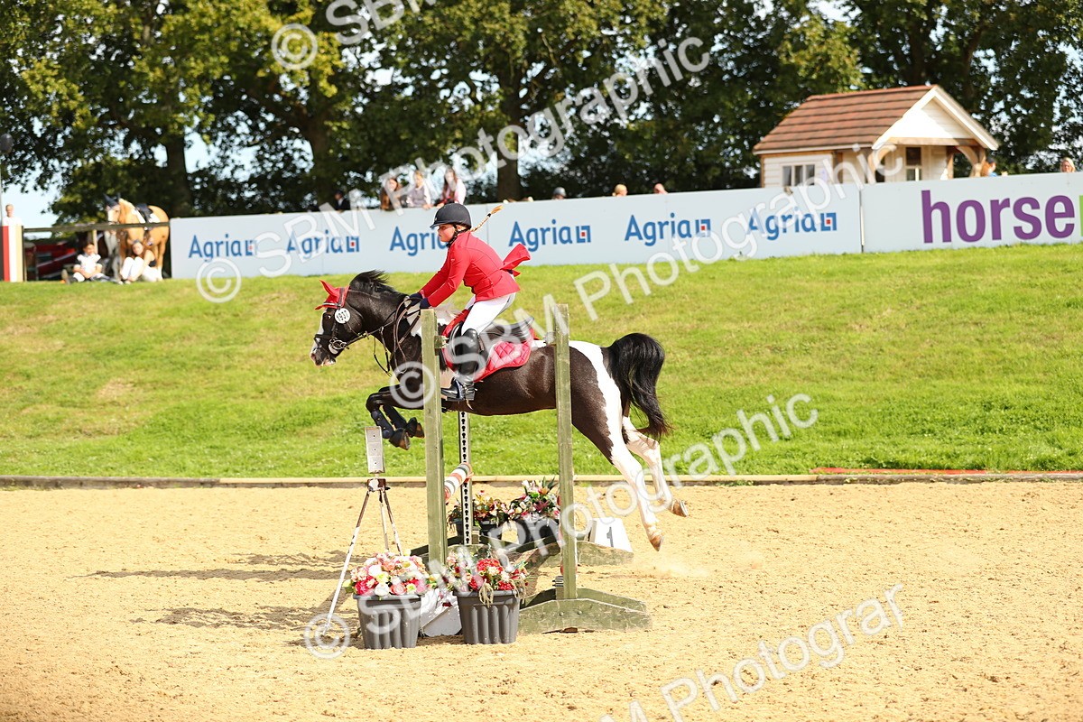 SBM_67926 - J17 - Junior Pony 80cm Championship