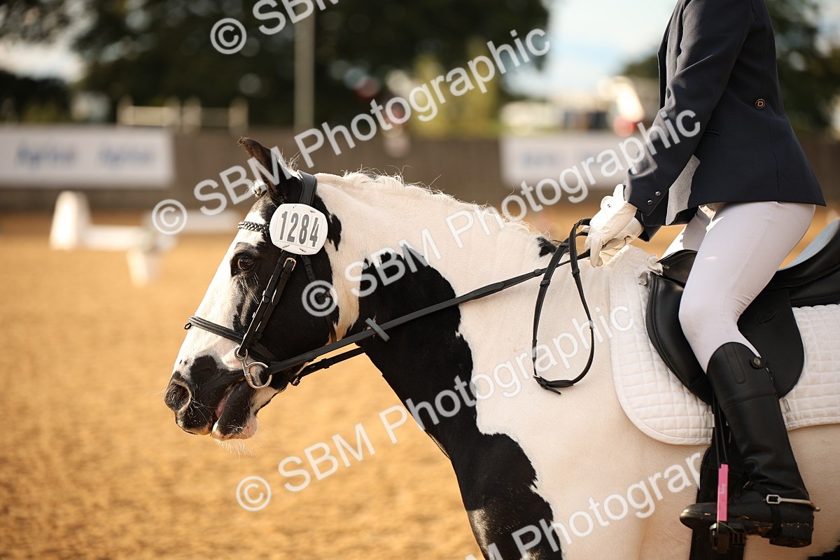 SBM_12438 - D3 Small  Tour Championship Intro A