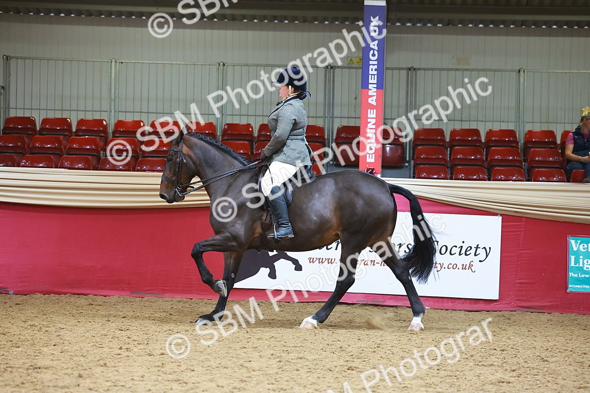 SBM_06049 - Class 12R - Ridden Pre-Vet