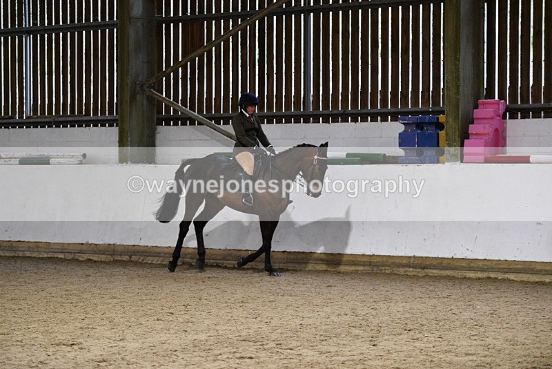 WJ5_8819 - Class 15 Ridden Show Horse
