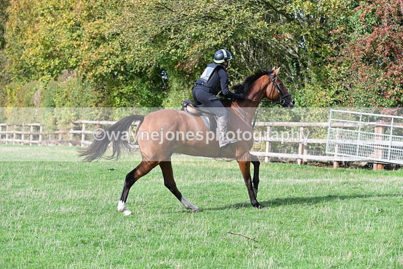 WJ5_1143 - Time 14:29 to 15:31