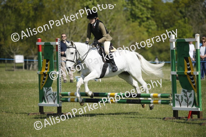 20250427-2103 - Class 13 - Novice Jumping 60cm