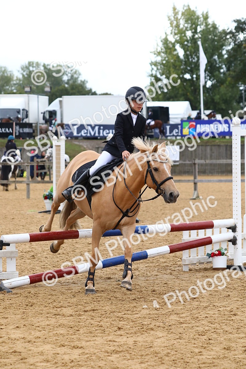 SBM_62252 - J64 - Junior Pony 60cm Championship