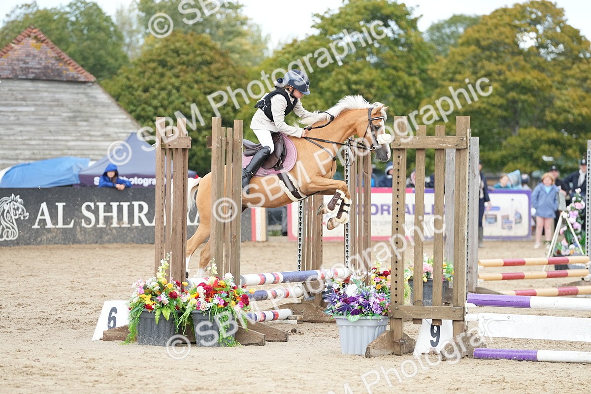 SBM_20726 - J49 - Open 50cm