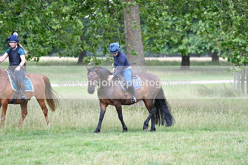 WJ5_2293 - Time at Jump 14:02 to 14:46