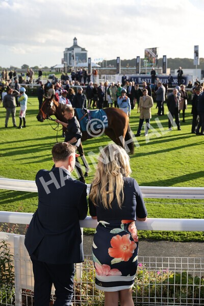 yr07102022r6-3 - Race 6 5.00pm William Hill Lengthen Your Odds EBF Novice Stakes