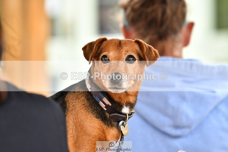 230817-153922-03107 - Presentations