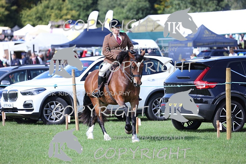 APP_3071 - Class 11 Veterans ridden