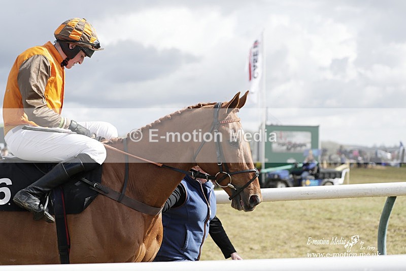 PtP 180323 418 - Shelfield Park Races with Croome & West Warwickshire Hunt  18/03/23
