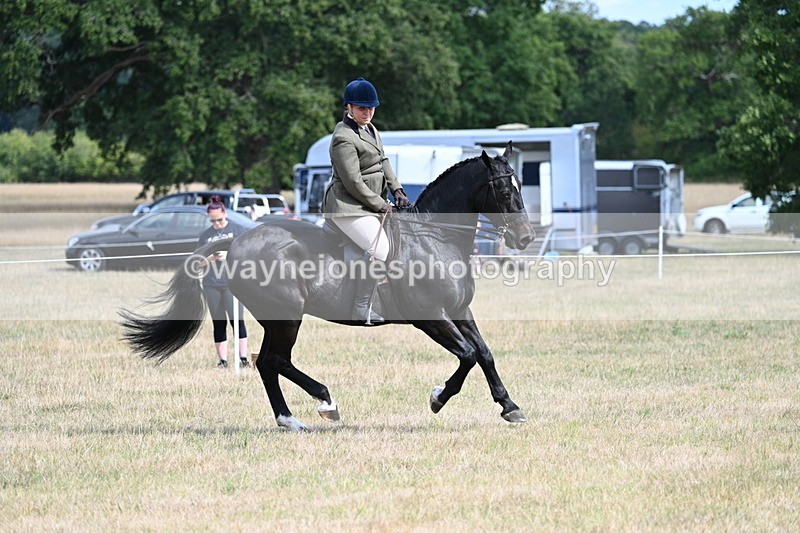 WJ7_6181 - Class 13 Ridden Veterans
