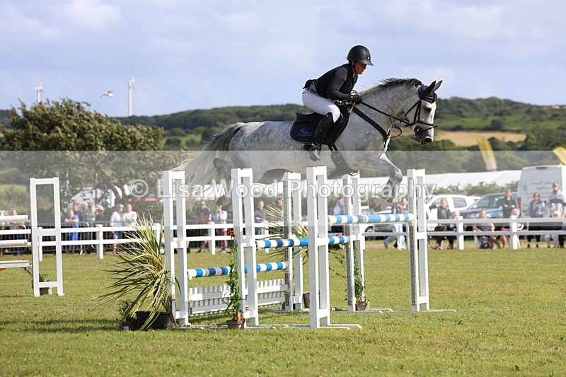 3E7A3479 - Class B: Showjumping Accumulator