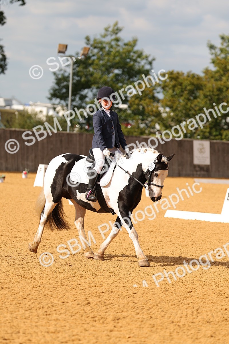 SBM_48284 - D22 - Junior Championship - Intro B