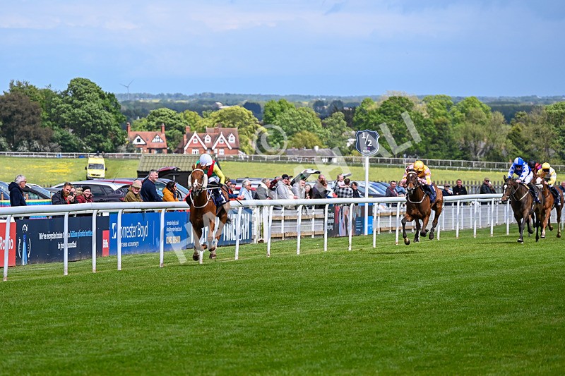 120526-Race 1-Lovers Leap-7142 - Race 1 2.30pm Clearanswer Call Centres Maiden Fillies' Stakes
