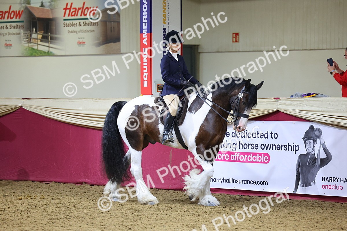 SBM_18540 - Class B Junior Champ 11-16 years