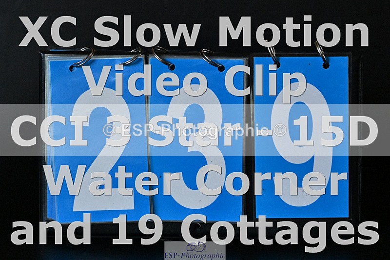 241025-190920-10954 - 239-Lissa.Green-KILLBUNNY.ANDY